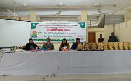 মীরসরাইয়ে প্রাথমিক শিক্ষার মান উন্নয়ন ও ঝরেপড়া রোধে মতবিনিময় সভা অনুষ্ঠিত