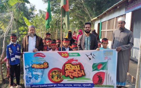 রেডিয়েন্ট ইসলামিক মডেল স্কুলে মহান বিজয় দিবস উদযাপন