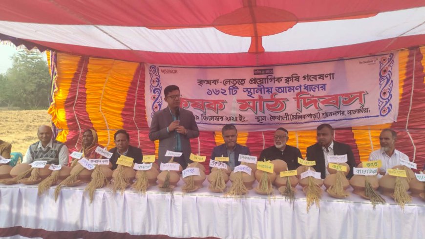 সাতক্ষীরার শ্যামনগরে কৃষকদের নেতৃত্বে ধান জাত গবেষণায় স্থানীয় ১৬২টি জাতের আমন ধানের মাঠ দিবস