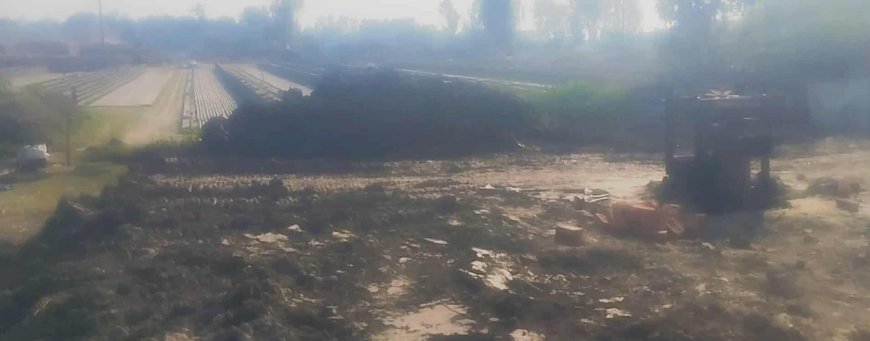 ধামরাইয়ে সম্পত্তি দখলের অভিযোগ: ভাড়ারিয়া ইউনিয়নের বাসিন্দা লুৎফর রহমানের দাবি