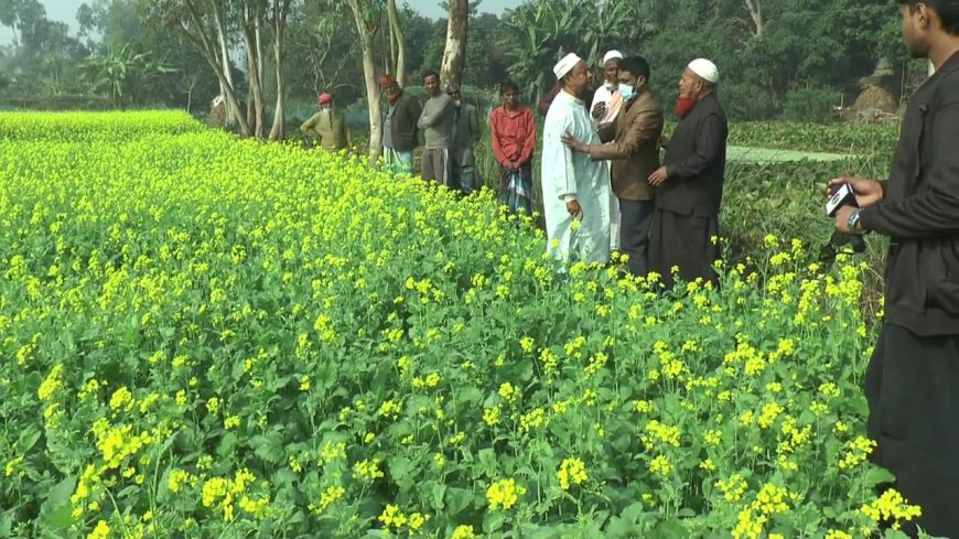 নাগরপুরে সাবেক ইউপি চেয়ারম্যান ও ভাতিজার বিরুদ্ধে জমি দখল ও হত্যার হুমকির অভিযোগ