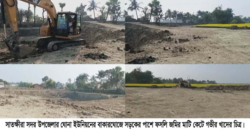 ঘোনায় ফসলি জমির মাটি বিক্রি, গভীর খাদের কারণে হুমকিতে গ্রামীণ সড়ক: অস্তিত্ব সংকটে কৃষি জমি