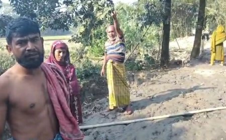 কুলিয়ারচর  ইউপি সদস্যের প্রতিহিংসা চরমে, আদালতের নিষেধাজ্ঞা অমান্য করে প্রবাসীর বাড়ী ভাঙচুর