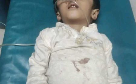 মিরসরাই উপজেলার মস্তাননগরে  পূর্ব শত্রুতার বলি ৩ বছরের শিশু