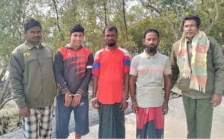 সুন্দরবন সাতক্ষীরা রেঞ্জের অভয়ারণ্য এলাকায় মাছ ধরার অভিযোগে নৌকাসহ তিন জেলে আটক