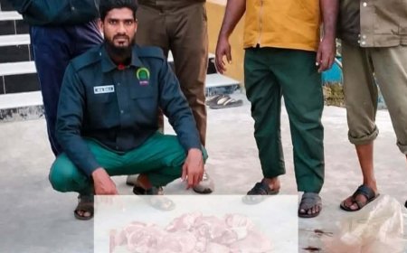 সুন্দরবন সাতক্ষীরা রেঞ্জ থেকে ১০ কেজি হরিণের মাংসসহ একটি নৌকা জব্দ