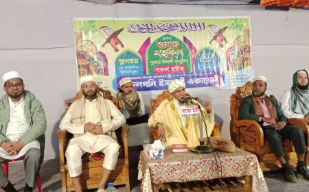 মিরসরাইয়ে নুরুল গনী ইসলামিক একাডেমির ওয়াজ মাহফিল অনুষ্ঠীত