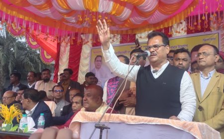 সাতক্ষীরার কলারোয়ায় মিনি স্টেডিয়াম ও বাইপাস সড়ক নির্মাণের প্রতিশ্রুতি বিএনপি মনোনীত ধানেরশীষের প্রার্থী হাবিবের