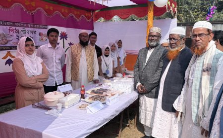 সাভার পিঠা উৎসব 