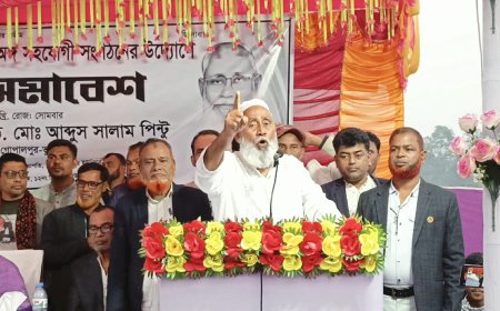 স্বাধীনতা ও সার্বভৌমত্ব রক্ষায় সব রাজনৈতিক শক্তিকে ঐক্যবদ্ধ হতে হবে: অ্যাডভোকেট আব্দুস সালাম পিন্টু