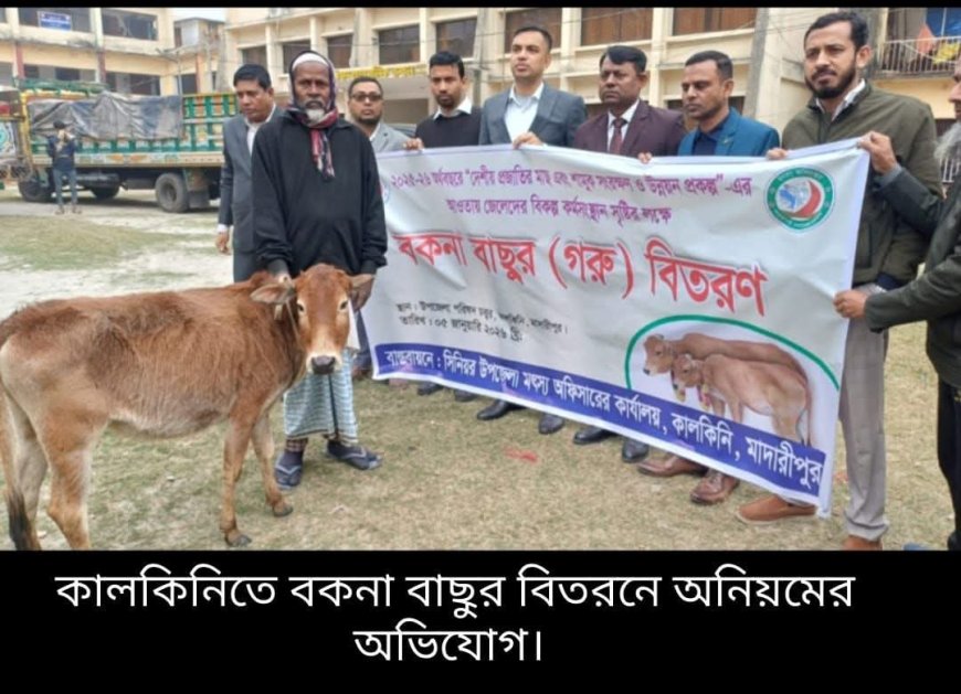 কালকিনিতে জেলেদের মাঝে বকনা বাছুর বিতরনে অনিয়মের অভিযোগ