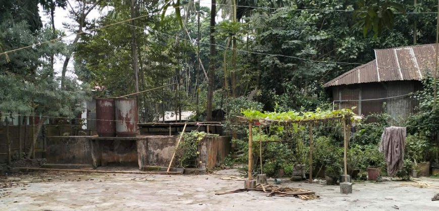 উলিপুর খাদ্য গুদামে চাল নিয়ে সিন্ডিকেটের ভয়াবহ চালবাজি