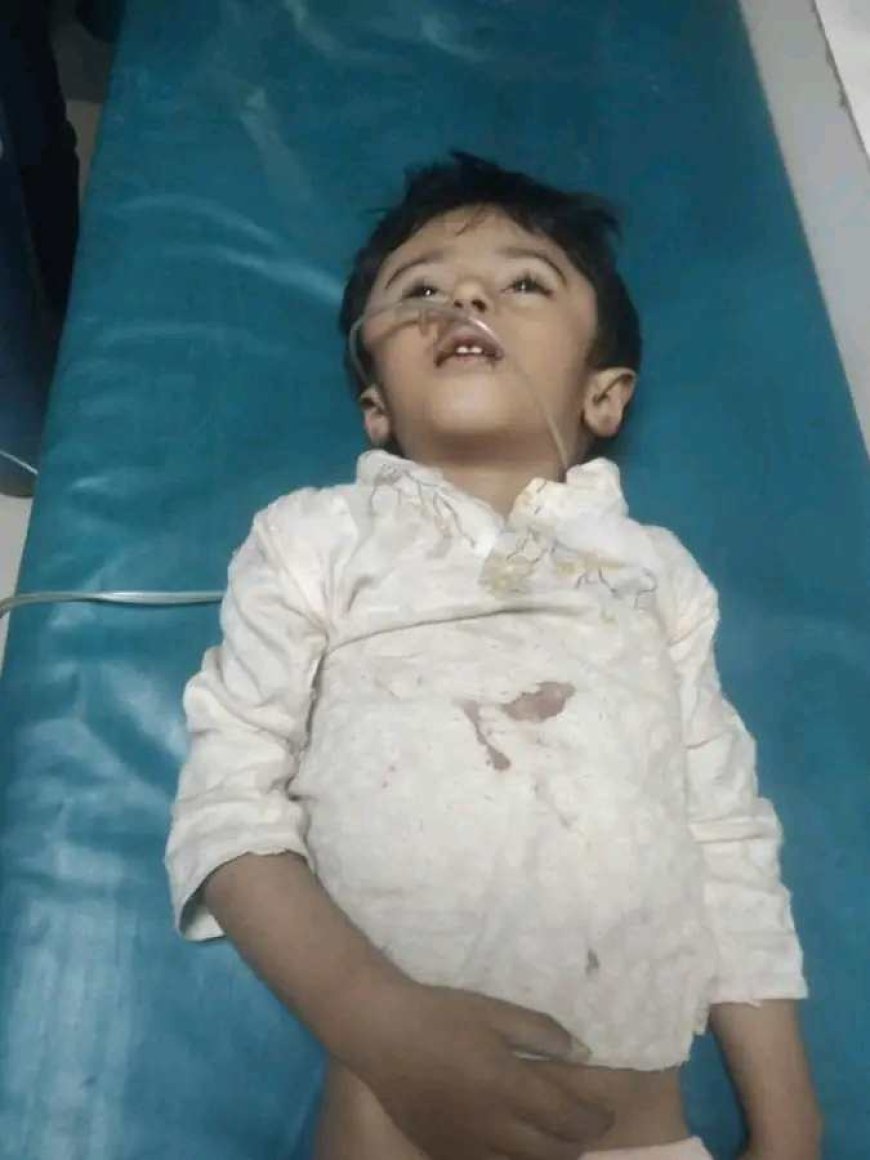 মিরসরাই উপজেলার মস্তাননগরে  পূর্ব শত্রুতার বলি ৩ বছরের শিশু