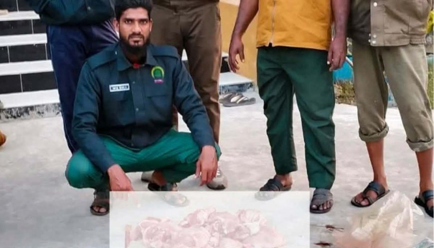 সুন্দরবন সাতক্ষীরা রেঞ্জ থেকে ১০ কেজি হরিণের মাংসসহ একটি নৌকা জব্দ