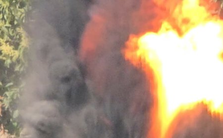 মাদারীপুরে ৪০টি হাত বোমা ধ্বংস করলো বোম ডিসপোজাল ইউনিট