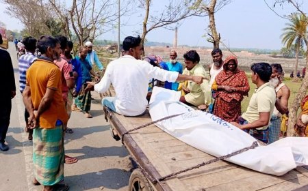 সাতক্ষীরার পাটকেলঘাটায় গরুবোঝাই ইঞ্জিনভ্যান খাদে পড়ে চালক নিহত, আহত-২