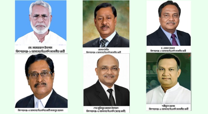 কিশোরগঞ্জে পাঁচটিতে বিএনপির জয়, একটিতে স্বতন্ত্র