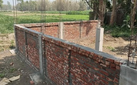 পীরগঞ্জে সরকারি রেকর্ড ভুক্ত রাস্তা দখল করে বাড়ি নির্মাণের অভিযোগ