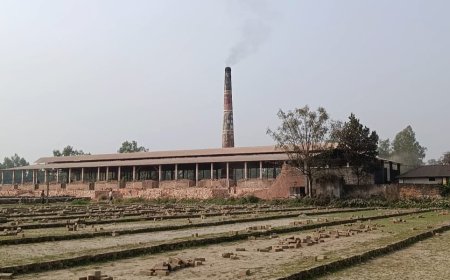 ইটভাটার ধোঁয়ায় বিপর্যস্ত জনজীবন, ফসল রক্ষায় পরিবেশ অধিদপ্তর ও জেলা প্রশাসকের কাছে অভিযোগ