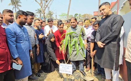 মাদারীপুরে শিক্ষকদের নিয়ে বৃক্ষরোপন করলেন এমপি খোকন তালুকদার