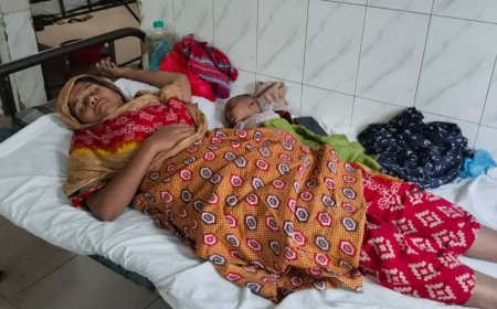 মহিপুরে যুবদল নেতার বিরুদ্ধে প্রবাসীর স্ত্রীকে মারধরের অভিযোগ