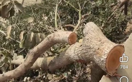 সন্ত্রাসী দুই সহোদরের দাপট ক্যান্সার আক্রান্ত বিধবা নাহার গৃহবন্ধী ও মানবেতর জীবন যাপন