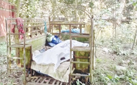 মাদারীপুরে শশুরের যৌন লালসার বলি পুত্রবধূ,  ঝুলন্ত মরদেহ উদ্ধার