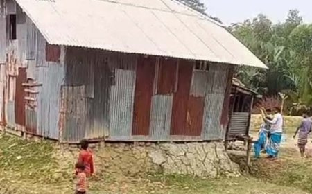 কলাপাড়ায় জমির দ্বন্দ্বে সংঘর্ষ, ইউপি সদস্যকে জড়িয়ে অপপ্রচার