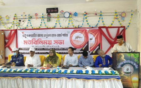 সাতক্ষীরায় ডেঙ্গু ও মশাবাহিত রোগ প্রতিরোধে জেলা প্রশাসন ও পৌরসভার সমন্বিত অভিযান