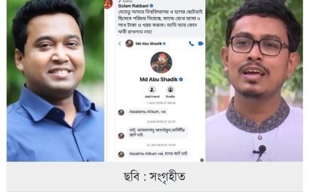 গোলাম রাব্বানীকে ভিপি সাদিক কায়েমের টেক্সট মেসেজ, স্ক্রিনশট ফাঁস