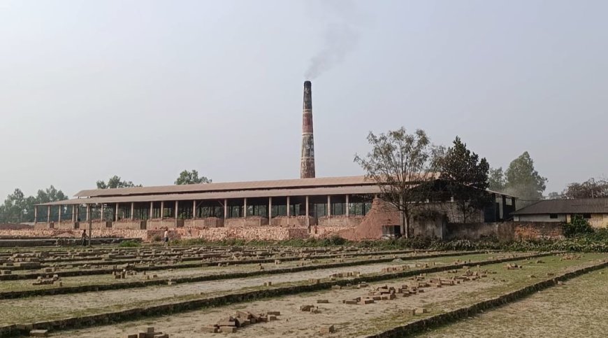 ইটভাটার ধোঁয়ায় বিপর্যস্ত জনজীবন, ফসল রক্ষায় পরিবেশ অধিদপ্তর ও জেলা প্রশাসকের কাছে অভিযোগ