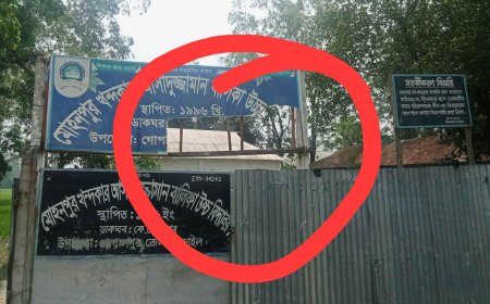 গোপালপুরে বিদ্যালয়ের সাইনবোর্ড ভাঙচুর, থানায় লিখিত অভিযোগ