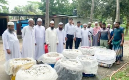 মাদারীপুরে ২৭মন জাটকা জব্দ, মাদ্রাসা ও এতিমখানায় বিতরণ