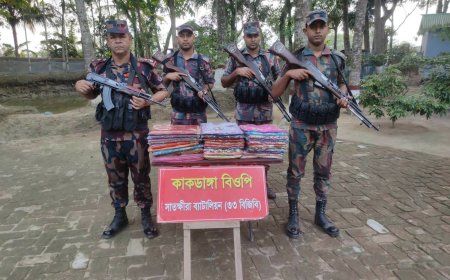 সাতক্ষীরার কলারোয়া সীমান্ত থেকে ভারতীয় শাড়ি ও টর্চ লাইট জব্দ