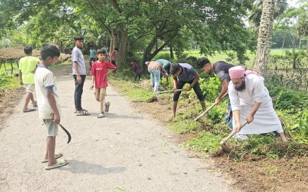 মাদারীপুরে গ্রামীণ সড়ক পরিস্কার পরিচ্ছন্ন করলো বনগ্রাম যুব উন্নয়ন সংগঠন