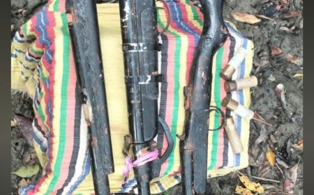 সুন্দরবন সাতক্ষীরা রেঞ্জে বনবিভাগের অভিযানে তিনটি দেশীয় বন্দুক ও চার রাউন্ড গুলি জব্দ