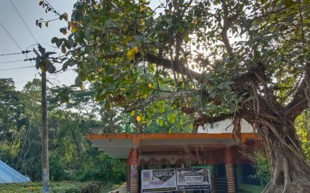 মিরসরাইয়ে শত কন্ঠে গীতা পাঠের আয়োজন 