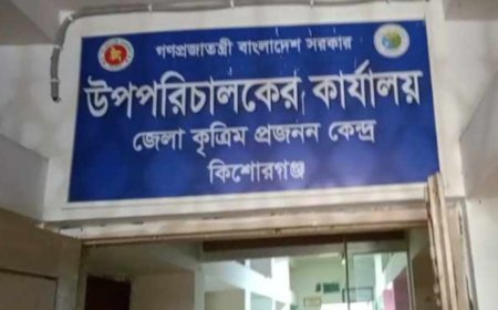 নিয়ন্ত্রণহীন প্রাণিসম্পদ বিভাগ; যেন মেডিসিন রিপ্রেজেন্টেটিভদের বাজার