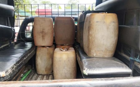 ঠাকুরগাঁওয়ের বালিয়াডাঙ্গীতে অবৈধভাবে পেট্রোল বিক্রির দায়ে দুইজনের অর্থদন্ড