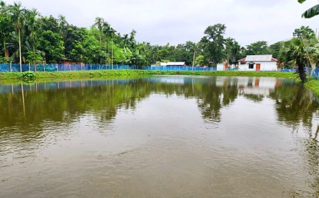 পলাতক চেয়ারম্যানের ভূতুড়ে ক্ষমতা! জাল স্বাক্ষরে ‘খাস পুকুর’ দখলের অভিযোগ