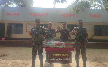 সাতক্ষীরা সীমান্ত থেকে ভারতীয় বিভিন্ন মালামাল জব্দ