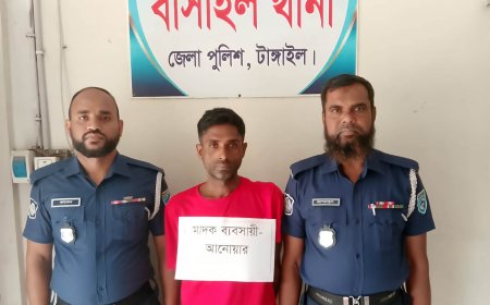 বাসাইলে মাদকসহ ব্যবসায়ী গ্রেপ্তার