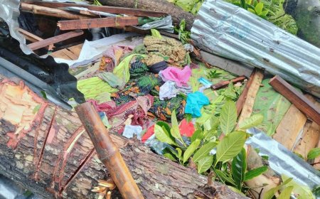 মেলান্দহে কালবোশেখী ঝড়ে গাছের নিচে চাপা পড়ে মা ও দুই মেয়ে সহ ৩ জন নিহত 