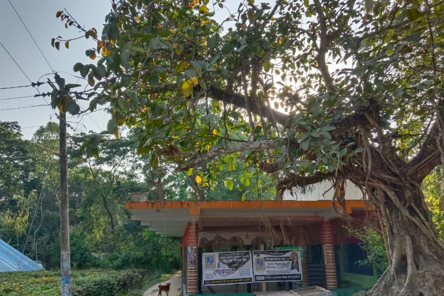 মিরসরাইয়ে শত কন্ঠে গীতা পাঠের আয়োজন 