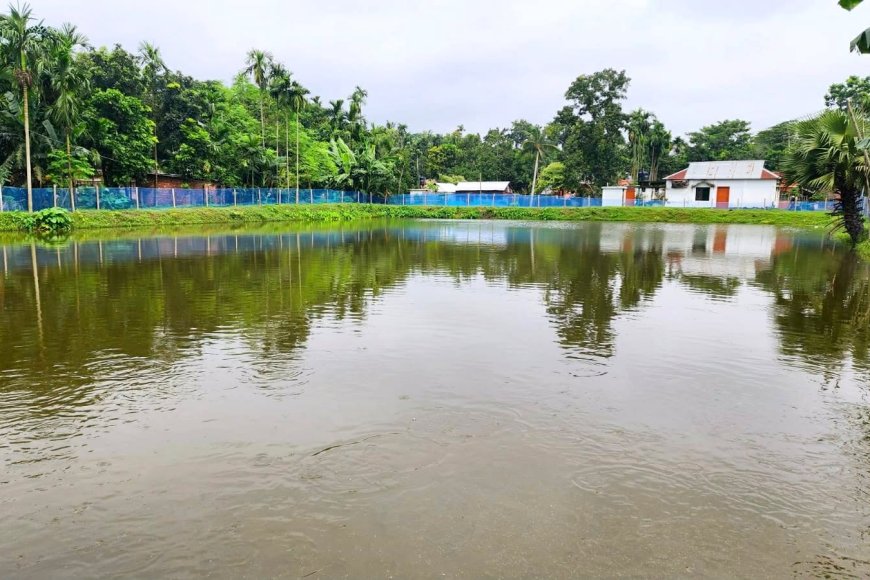পলাতক চেয়ারম্যানের ভূতুড়ে ক্ষমতা! জাল স্বাক্ষরে ‘খাস পুকুর’ দখলের অভিযোগ