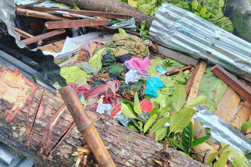 মেলান্দহে কালবোশেখী ঝড়ে গাছের নিচে চাপা পড়ে মা ও দুই মেয়ে সহ ৩ জন নিহত 