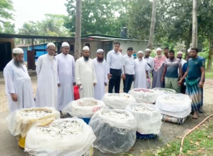 মাদারীপুরে ২৭মন জাটকা জব্দ, মাদ্রাসা ও এতিমখানায় বিতরণ