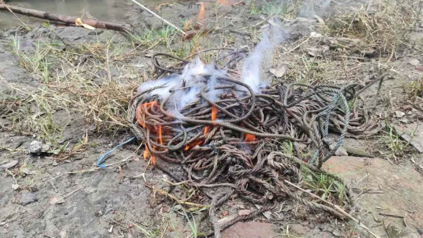 সুন্দরবন সাতক্ষীরা রেঞ্জে হরিণ শিকারের ২৫ ফাঁদ উদ্ধার