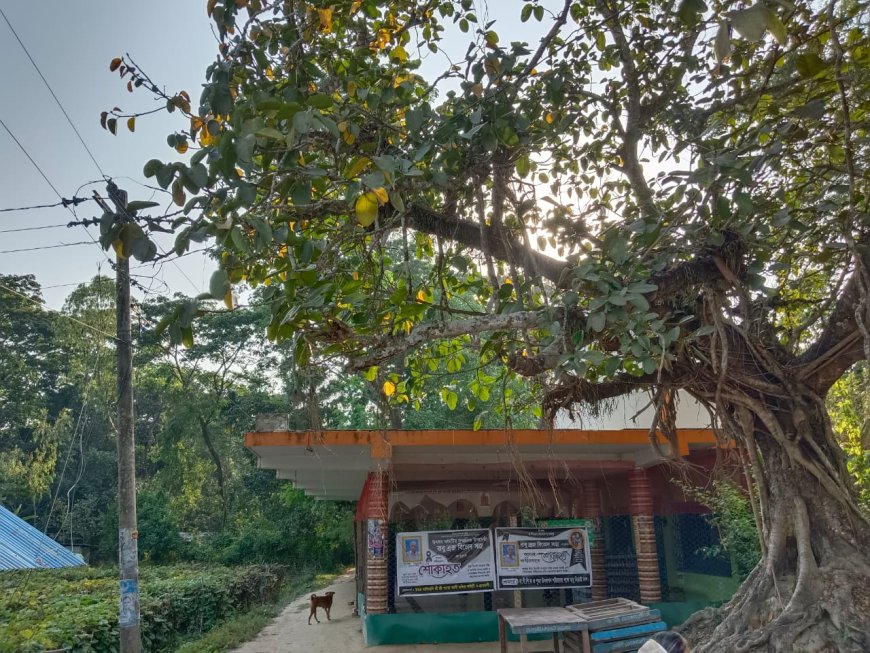 মিরসরাইয়ে শত কন্ঠে গীতা পাঠের আয়োজন 