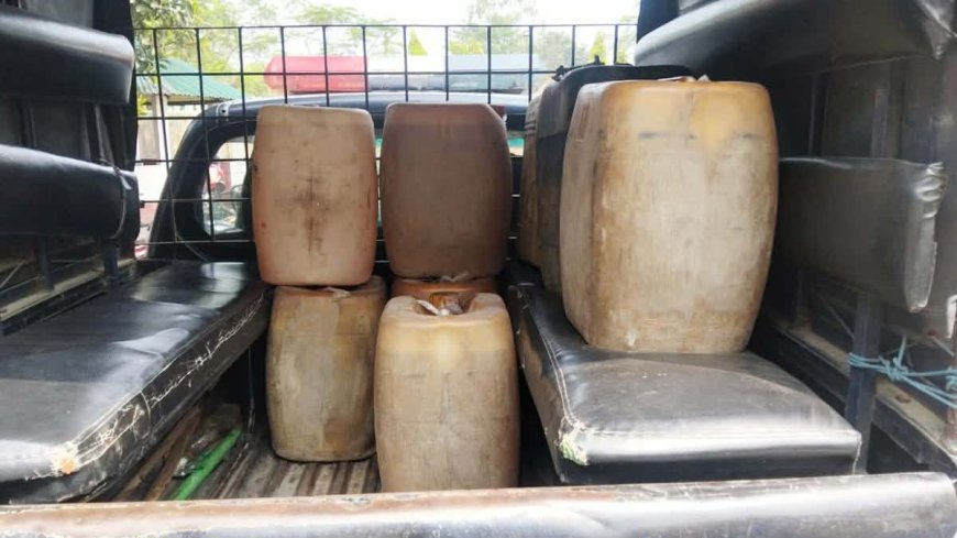 ঠাকুরগাঁওয়ের বালিয়াডাঙ্গীতে অবৈধভাবে পেট্রোল বিক্রির দায়ে দুইজনের অর্থদন্ড